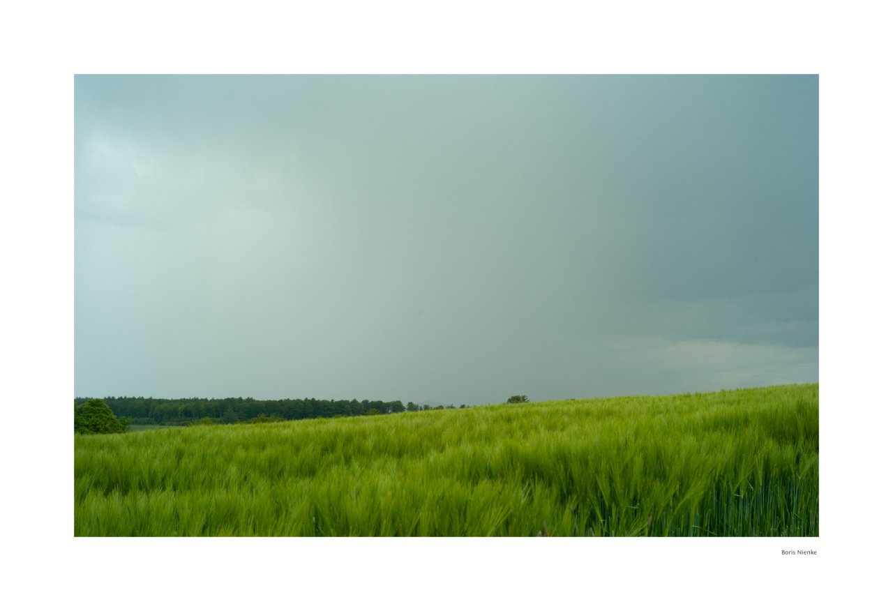 Regen und Feld