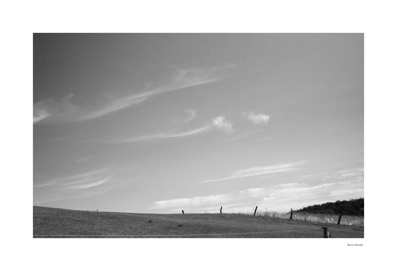 Schleierhafte Wolken über Weide