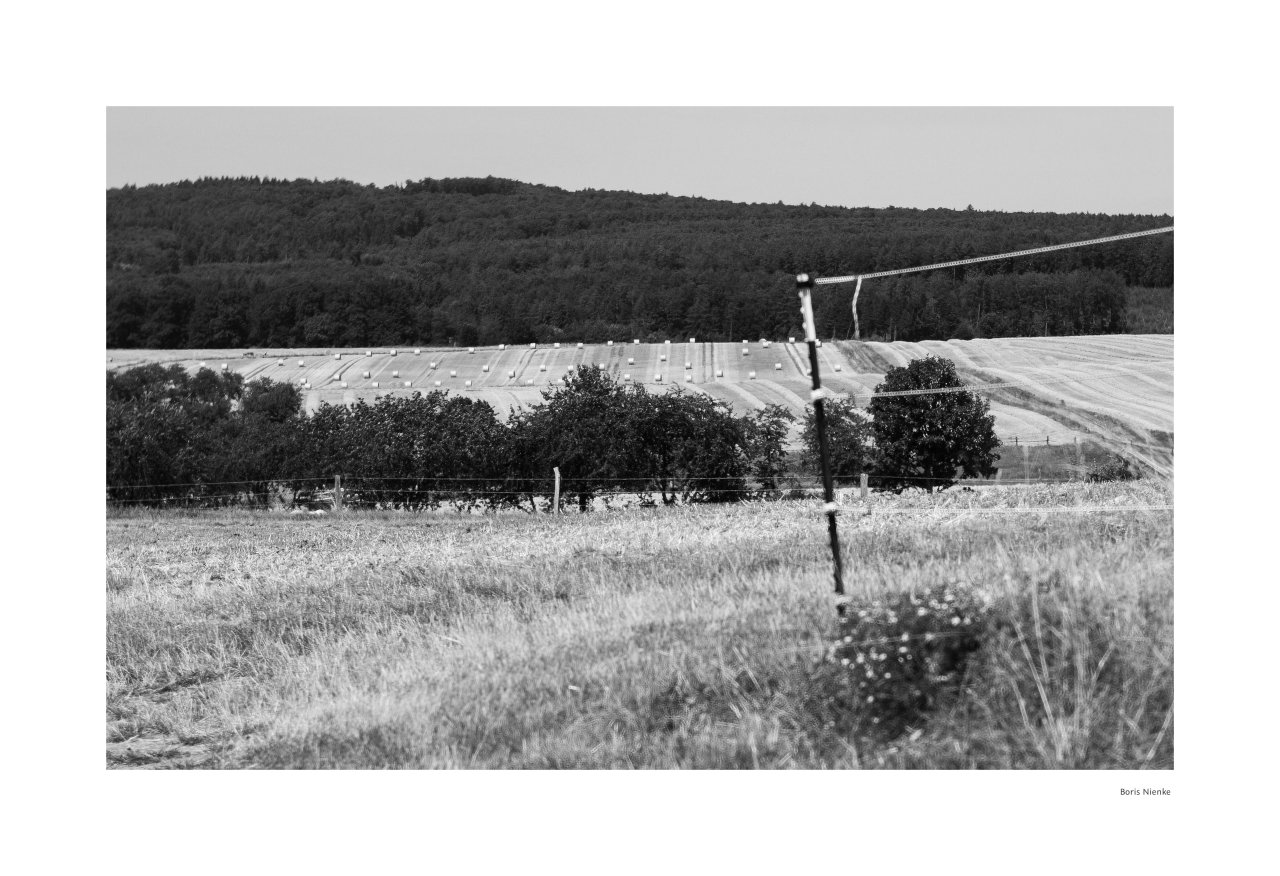 Stroh auf Feld