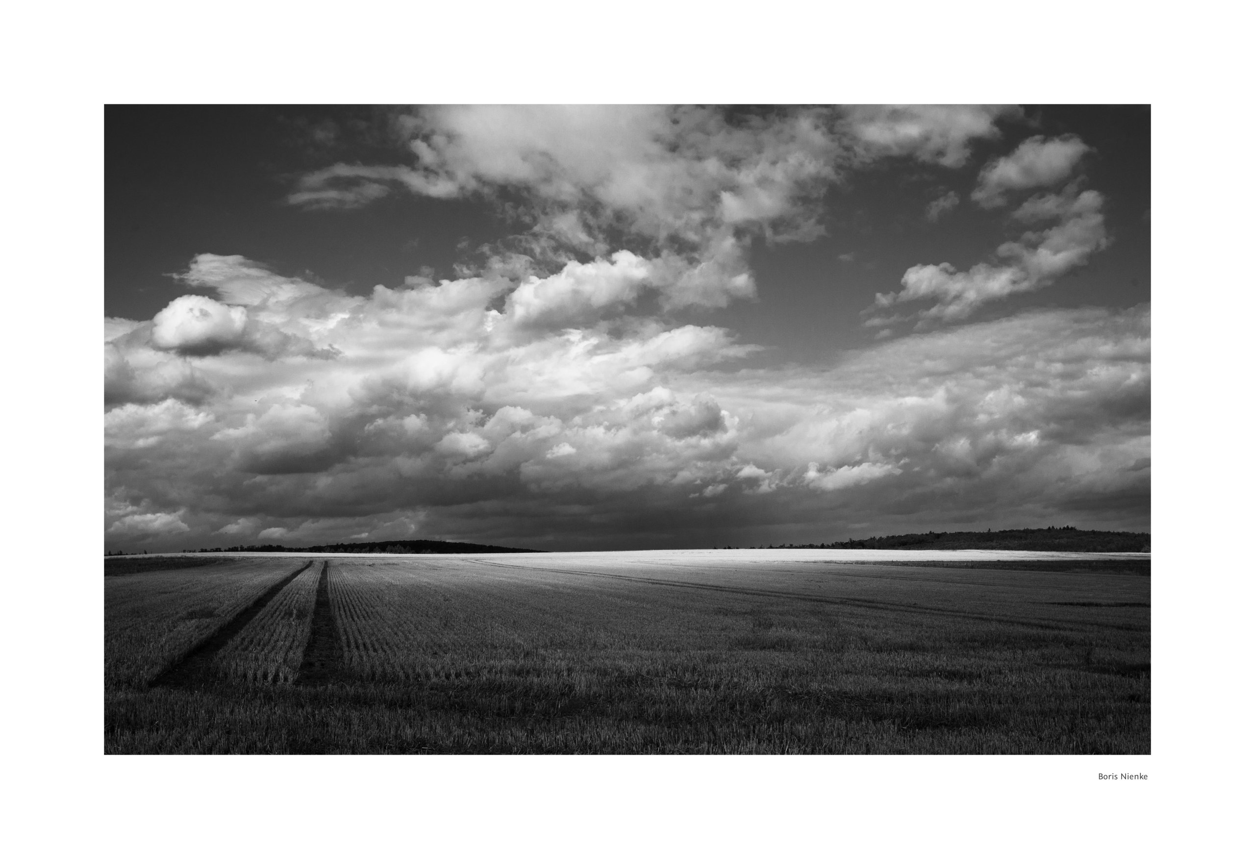 Sonne auf dem Feld