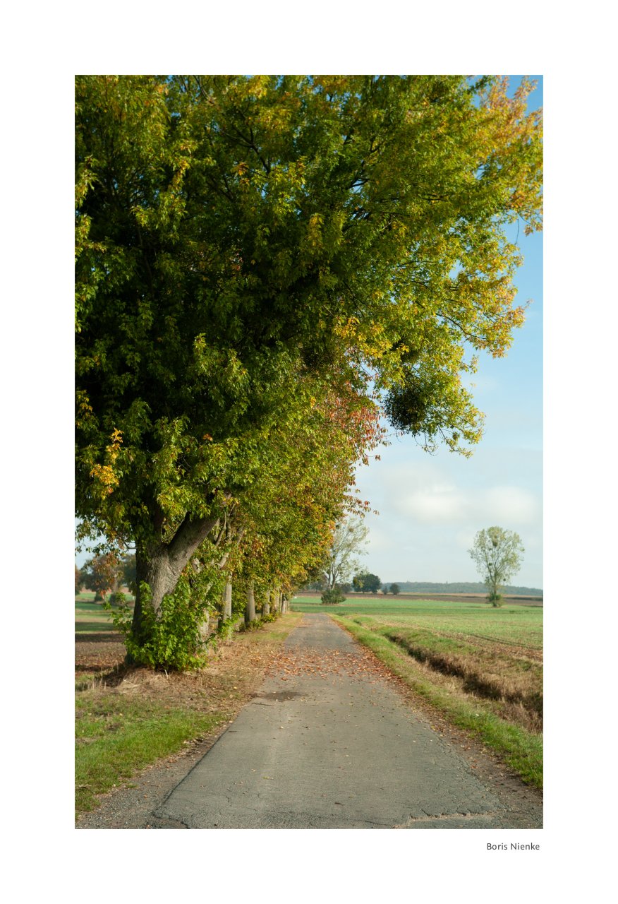 Herbst kommt langsam