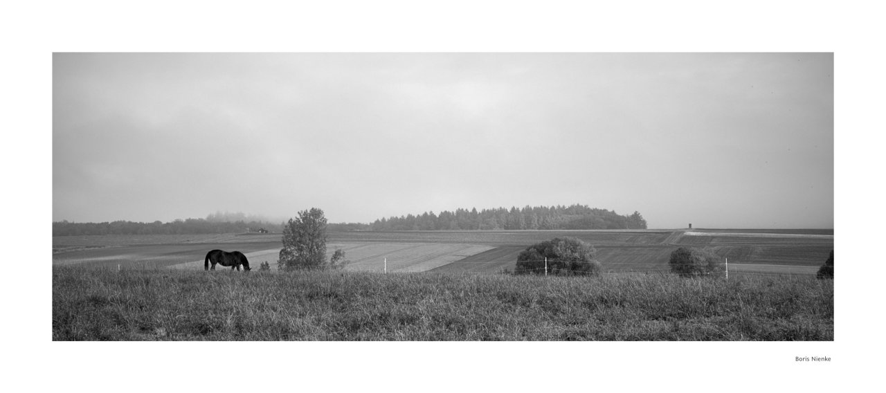 Nebel