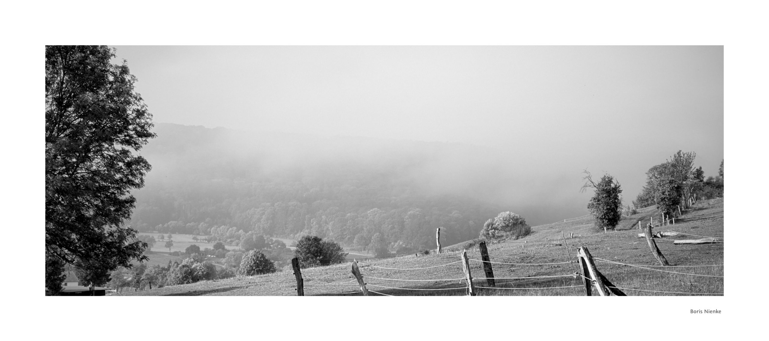 Nebel