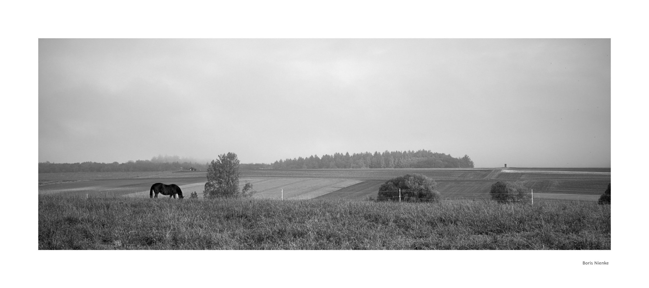 Nebel