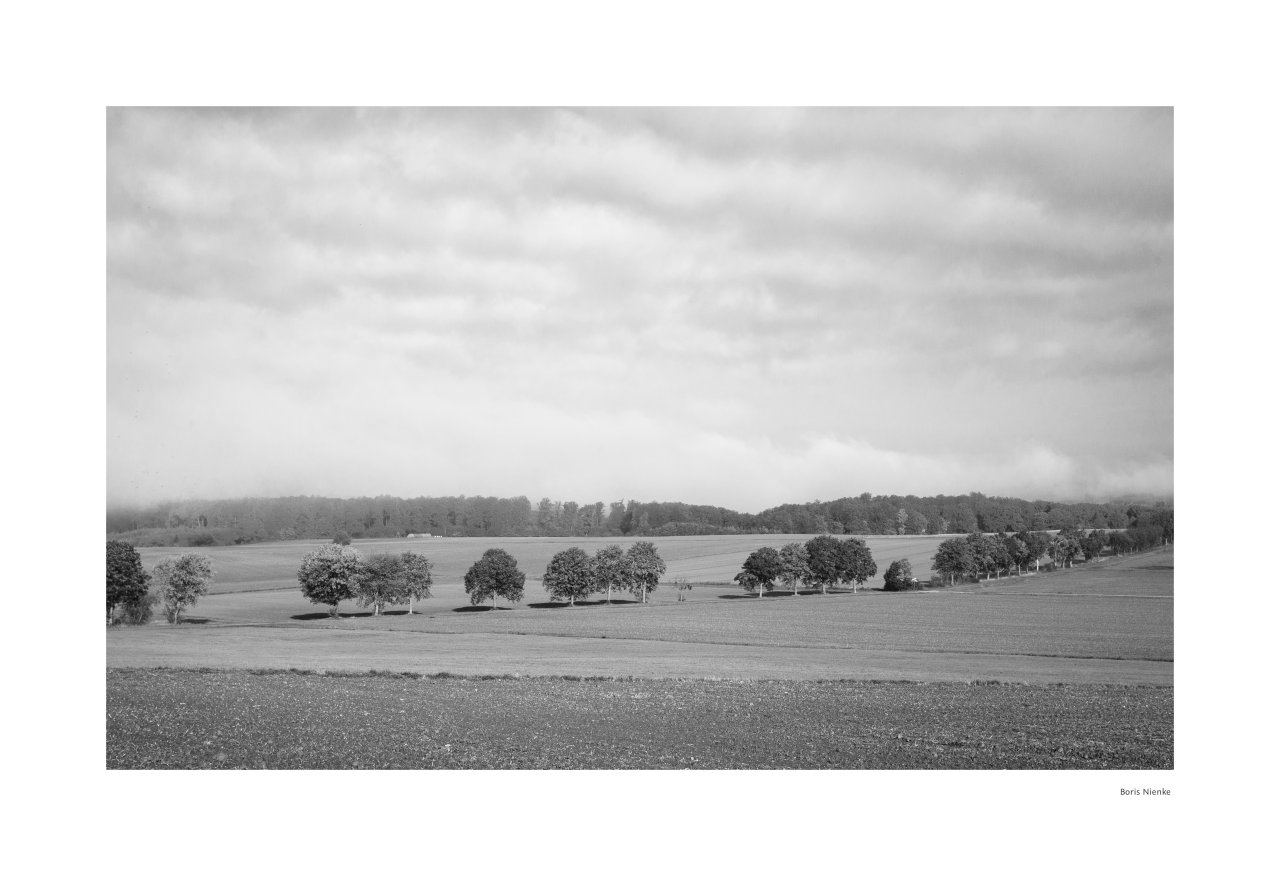 Nebel