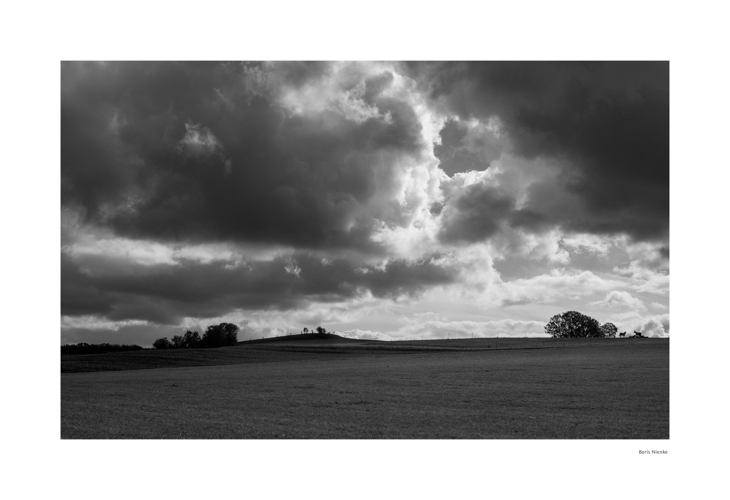 Regenwolken und Pferde